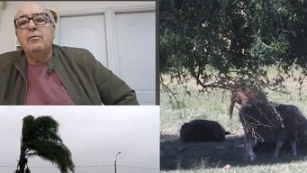 fratti dijo que habra algun tipo de ayuda a los productores por la sequia, porque no llueve pasto