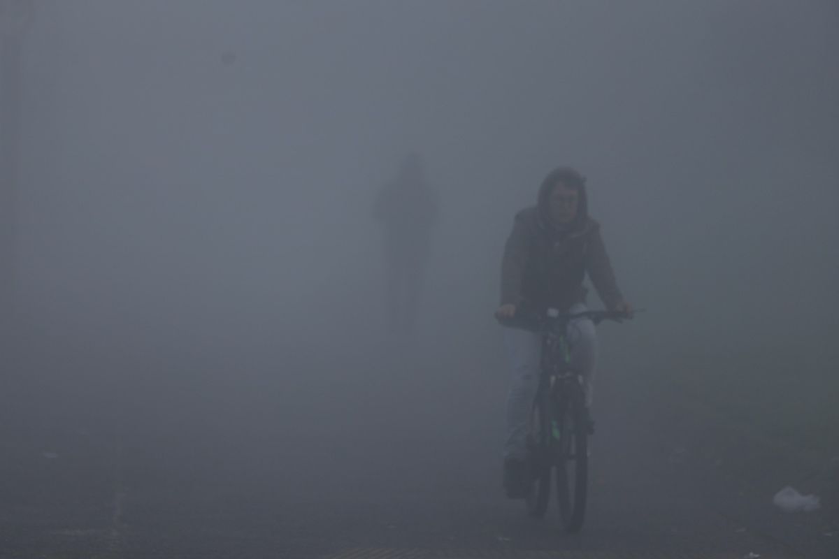 WhatsApp Image 2023-06-16 at 09.07.42.jpeg