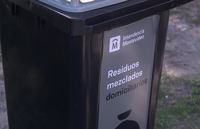 contenedores-intradomiciliarios-imm