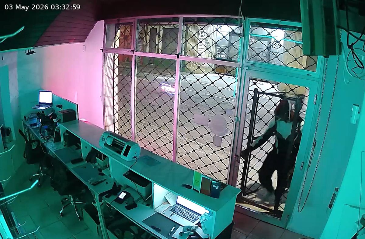 Robaron un comercio de celulares en Cordón: los delincuentes fueron seguidos por cámaras y detenidos