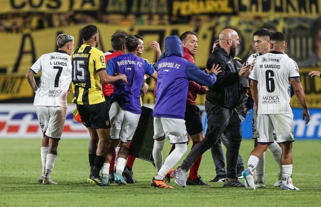 WhatsApp Image 2024-02-12 at 22.29.46.jpeg