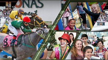 Subrayado | MICRO TURF 2 D NOV