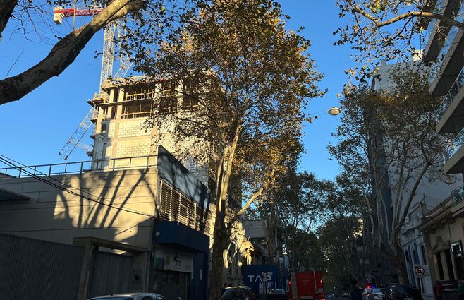 Foto: Nahuel Marichal, Subrayado.