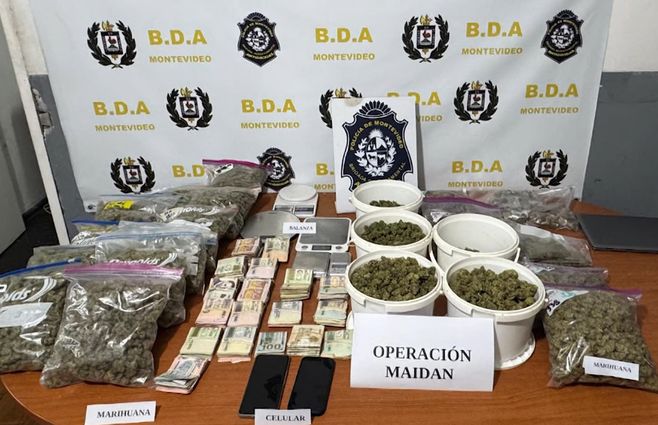 club-canabico-incautaciones-marihuana