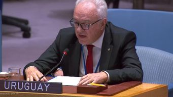 lubetkin hablo en el consejo de seguridad de la onu sobre tendencia preocupante a priorizar respuestas militares