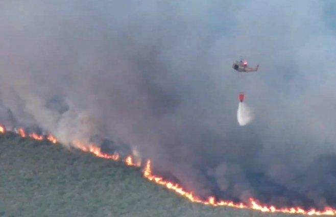 Foto: captura Fuerza Aérea en X.