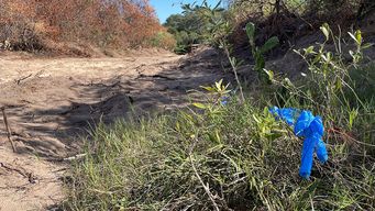 Foto: Paola Botti, Subrayado. La zona donde fueron encontrados los cuerpos, a 100 metros del arroyo El Potrero.