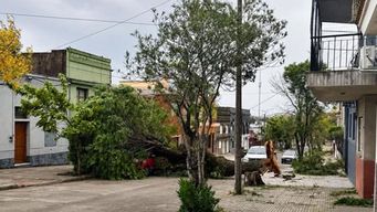 destrozos en rivera, con voladura de techos y caida de arboles y columnas del tendido electrico por temporal