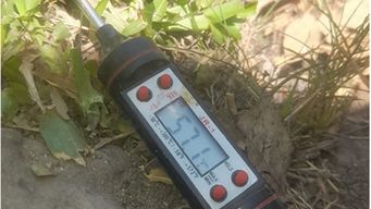 un termometro registro 57 grados al sol en una zona rural de salto