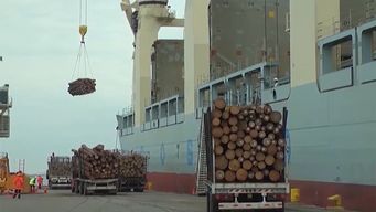 transportistas de carga denuncian problemas en operativa portuaria