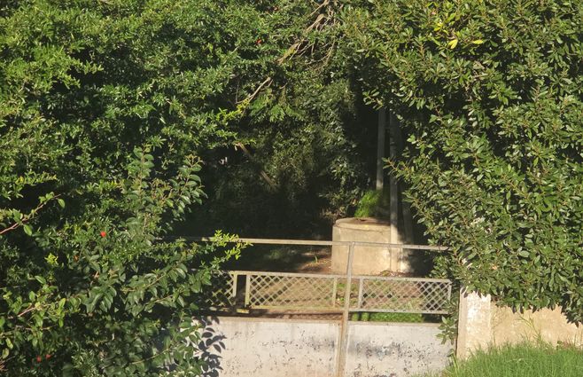 Foto: Eduardo Castro, Subrayado. Aljibe donde fue hallada la víctima.