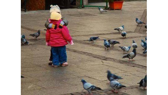 Mejora el tiempo pero por breve lapso; el viernes vuelve el frío