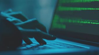un joven de 18 anos fue imputado e ira a prision por el hackeo a paginas estatales y de empresas privadas