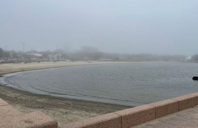 NIEBLA EN PLAYA RAMÍREZ.jpeg