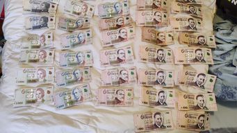 operacion malefica 4: 15 condenados por comercializar, suministrar, negociar y fabricar droga