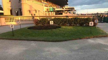 Subrayado | 6 MICRO TURF 8 D MAY