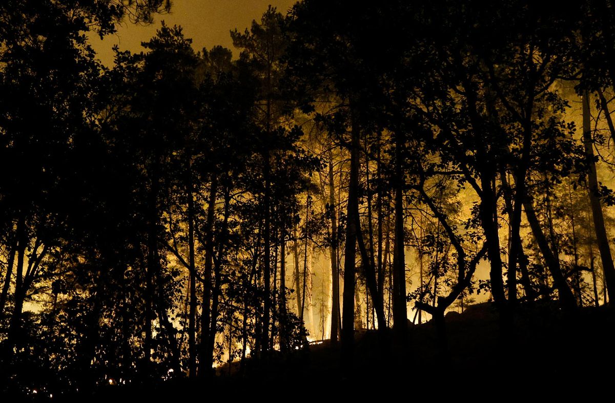 En plena ola de calor, bomberos trabajan en mil hectáreas en llamas de emblemático bosque en París