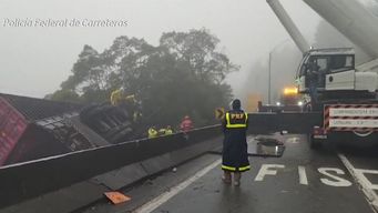 tragedia en brasil: siete remeros de entre 15 y 19 anos murieron en un accidente con un camion