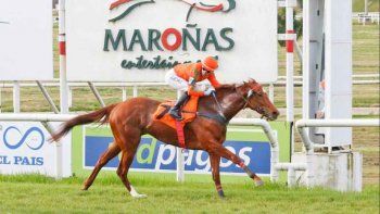 Subrayado | 7 MICRO TURF 26 D AGO