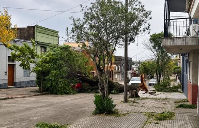 Rivera-tormenta-árboles-caídos-foto-redes-sociales-portal-Rivera-Noticias