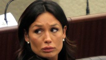 diputada pidio informes por caso minetti; autoridades italianas solicitaron a interpol datos sobre viajes de la familia