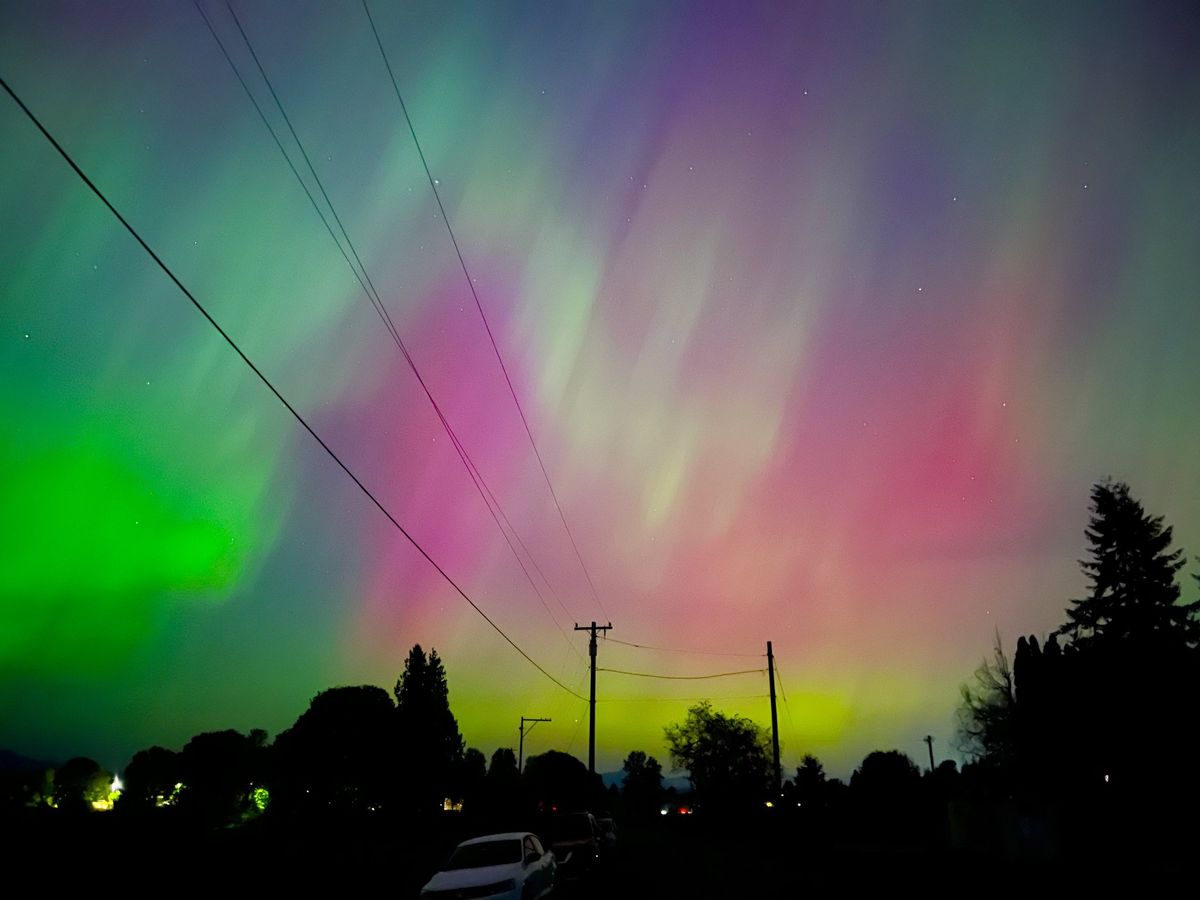 Alaska, foto: Twitter @trooothseekr