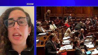 fa plantea derogar la ley de tenencia compartida; diputado blanco califico de oportunismo irresponsable