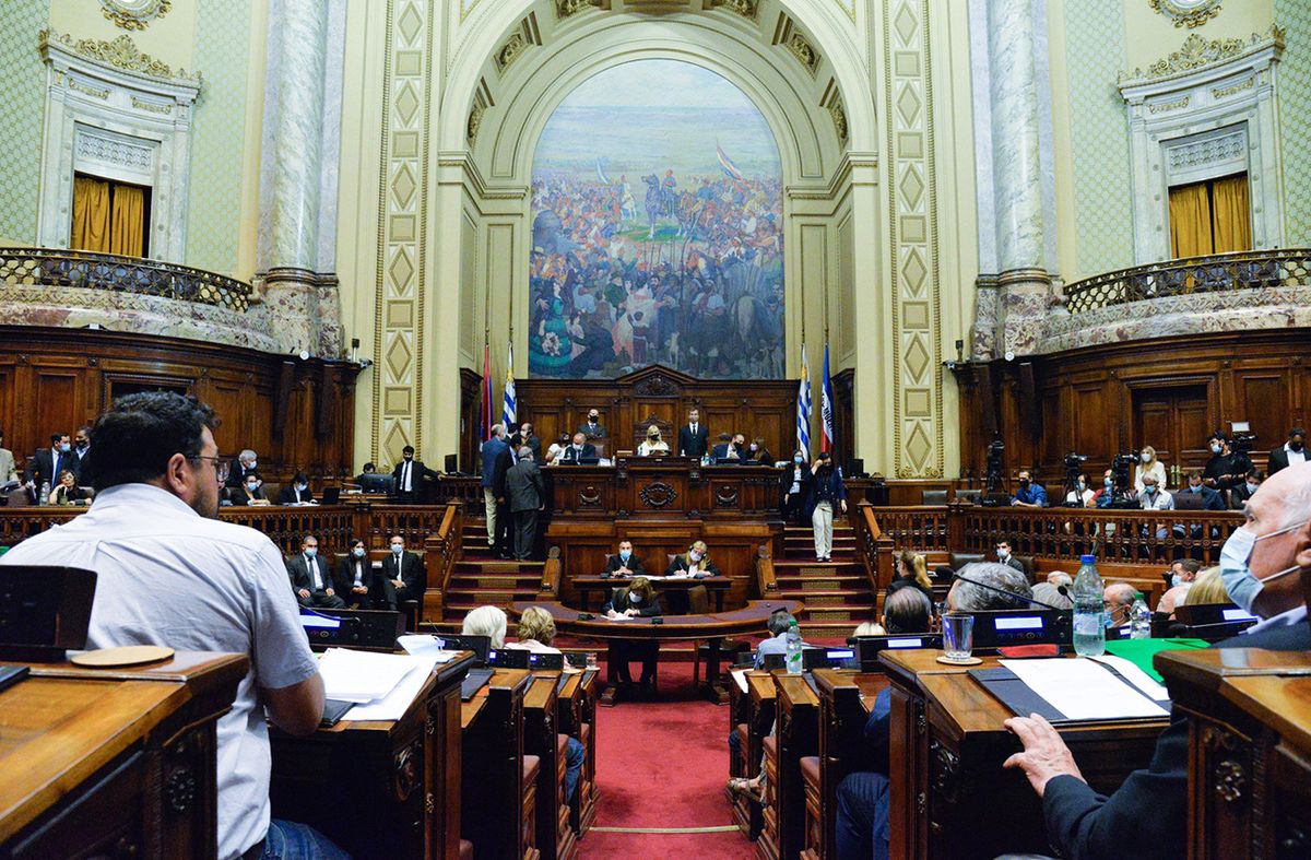 Asamblea General ratificó el veto de Lacalle Pou a la ley forestal de Cabildo Abierto