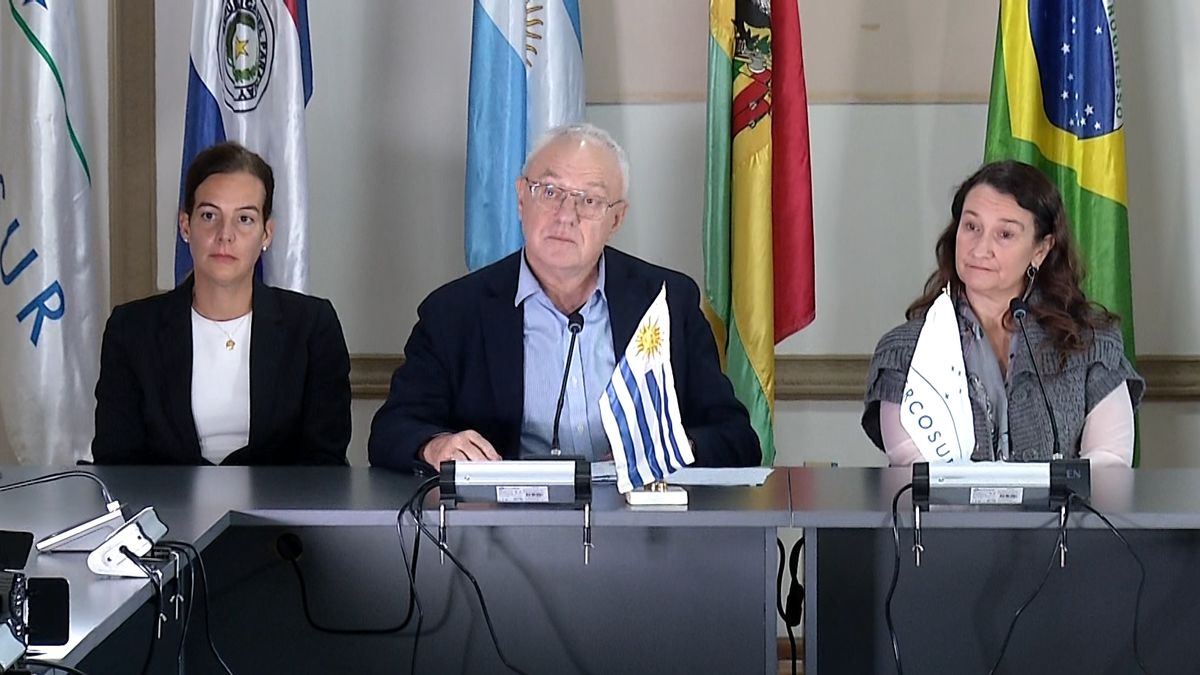 Rige el acuerdo Mercosur-UE: Cancillería detalló productos que ingresarán al mercado europeo