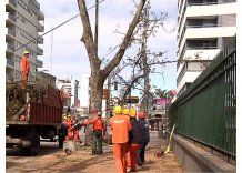 Quedan 46 evacuados y casi 30.000 hogares sin luz