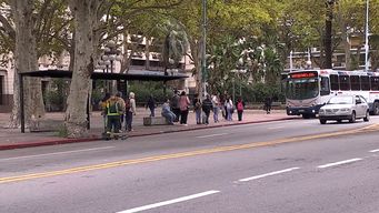 imm proyecta renovar 400 paradas; usuarios opinan que deberan tener los resguardos