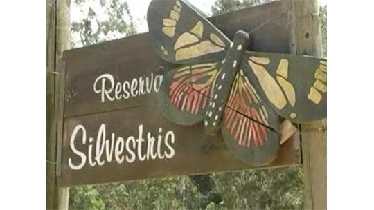 Un lugar para ver mariposas entre Punta del Este y José Ignacio