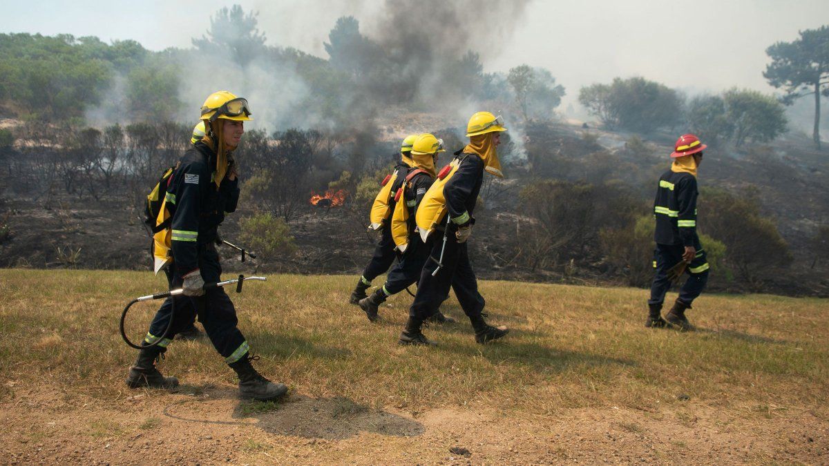 Se consumieron 30 hectáreas de monte en un incendio en Canelones