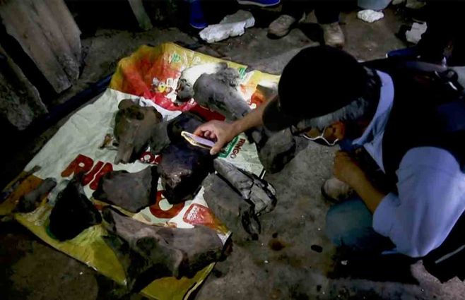 mastodonte-huesos-colombia-AFP.jpg