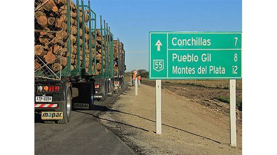 Vecinos divididos ante llegada de Montes del Plata a Conchillas