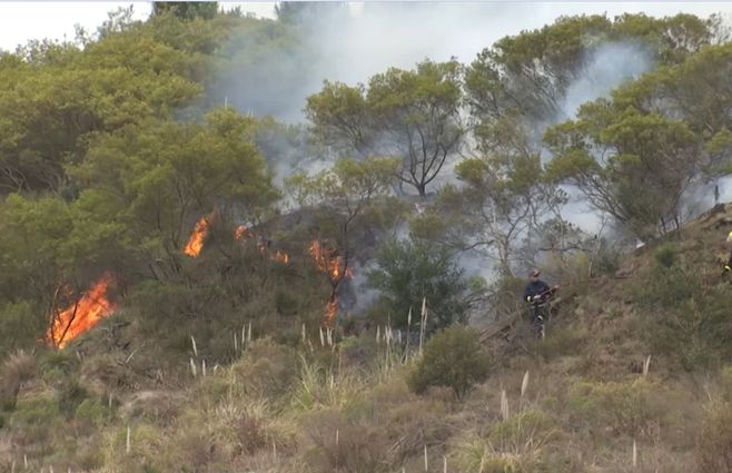 fuego-incendio-enero.jpg