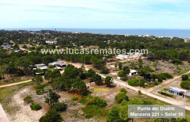 Diapositiva1 (1).JPG