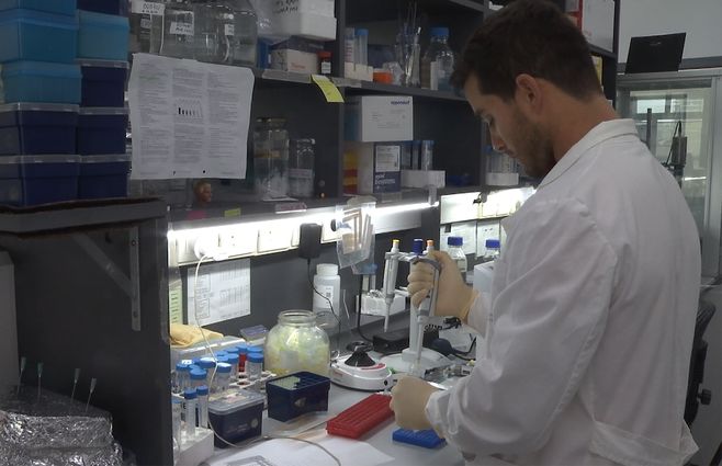 instituto-pasteur-montevideo-investigacion.jpg