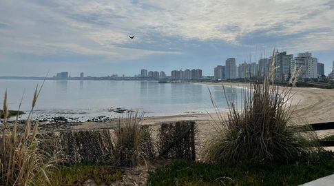 Domingo calido y un comienzo de semana con temperaturas que alcanzarán los 30ºC, según Nubel Cisneros