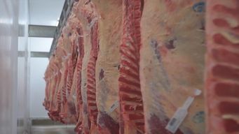aumento mas del 50% la venta de asado de tira a precio congelado