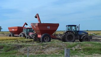 rubio propone quitar iva al gasoil a pequenos productores