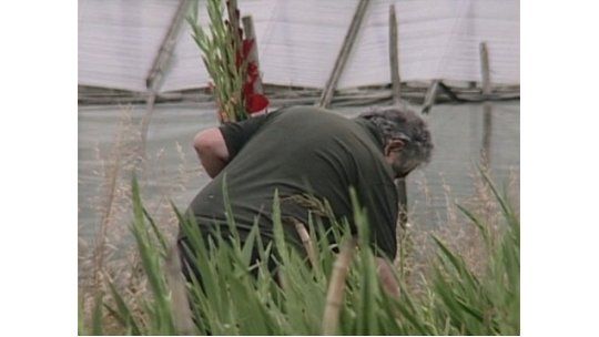 Coletazo del impuesto al agro: mañana se terminan polémicas S.A.
