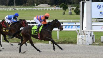 Subrayado | 7 MICRO TURF 6 D SET