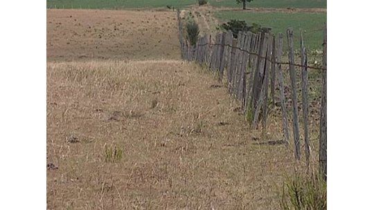 Productores aseguran que hay sequía; autoridades lo descartan