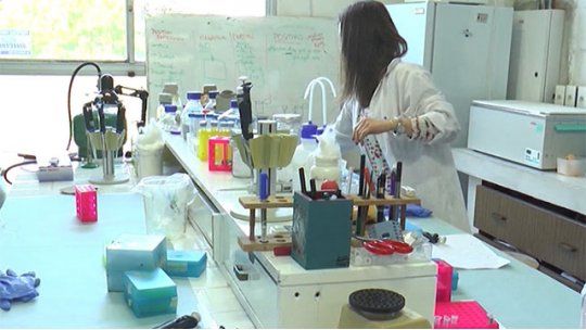 laboratorio universidad