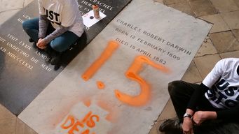 Imagen del momento de la vandalización. Foto: AFP