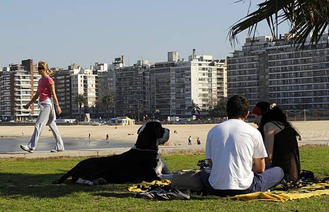 Teimpo ideal para disfrutar de la rambla montevideana