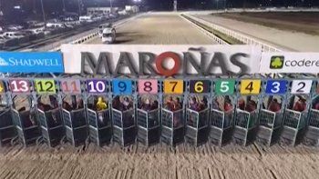 Subrayado | MICRO TURF 30 D NOV