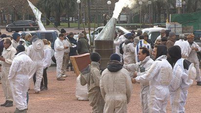 apicultores de todo el pais se movilizan frente al legislativo y exigen sanciones por agrotoxicos