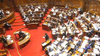 diputados votan cambios a la ley de lavado de activos y la investigadora por maria dolores